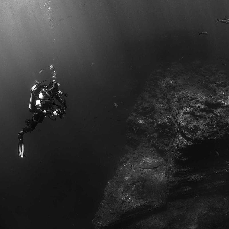 Ikan Kembung Segar
