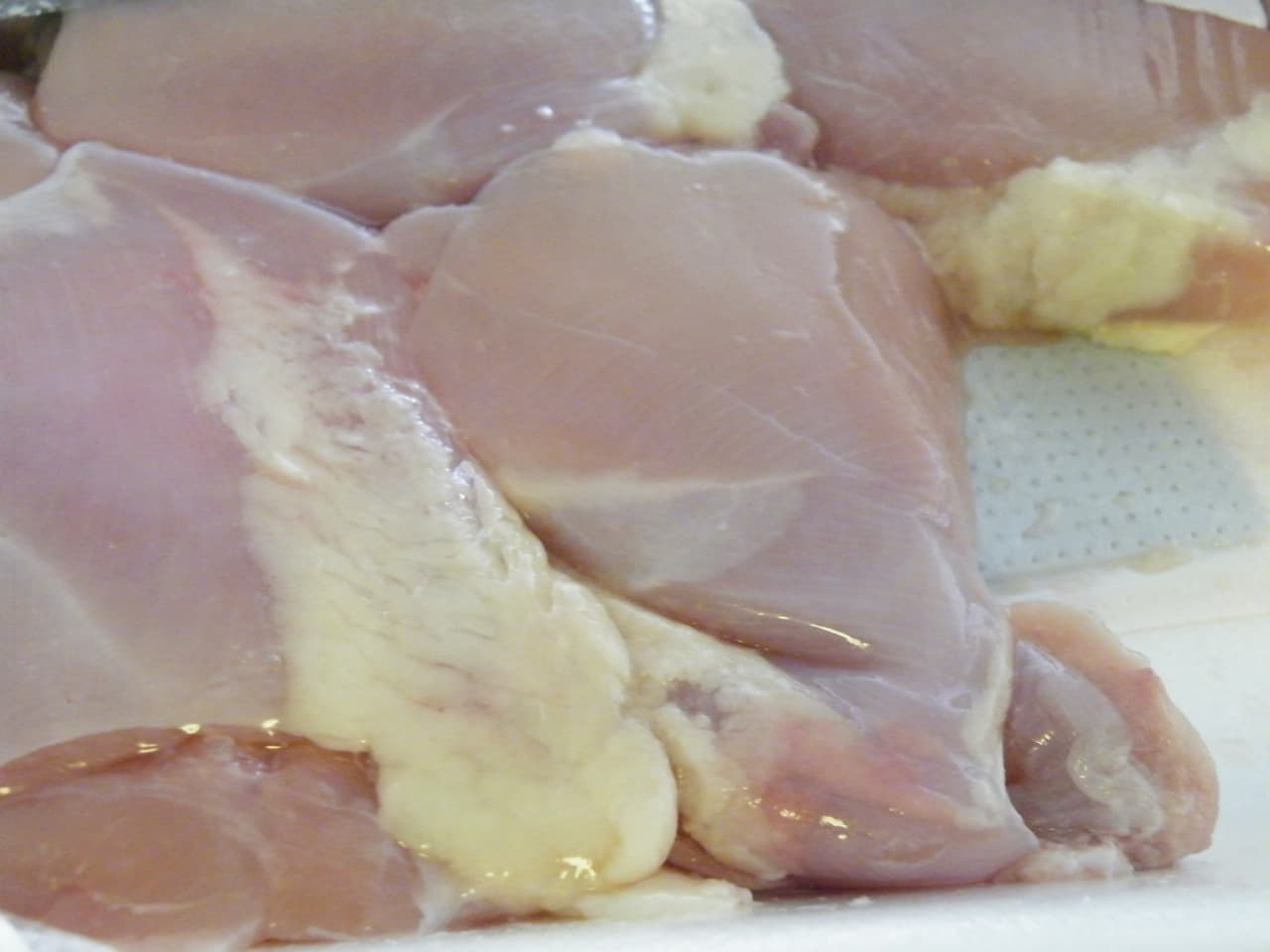 Fillet Paha Ayam