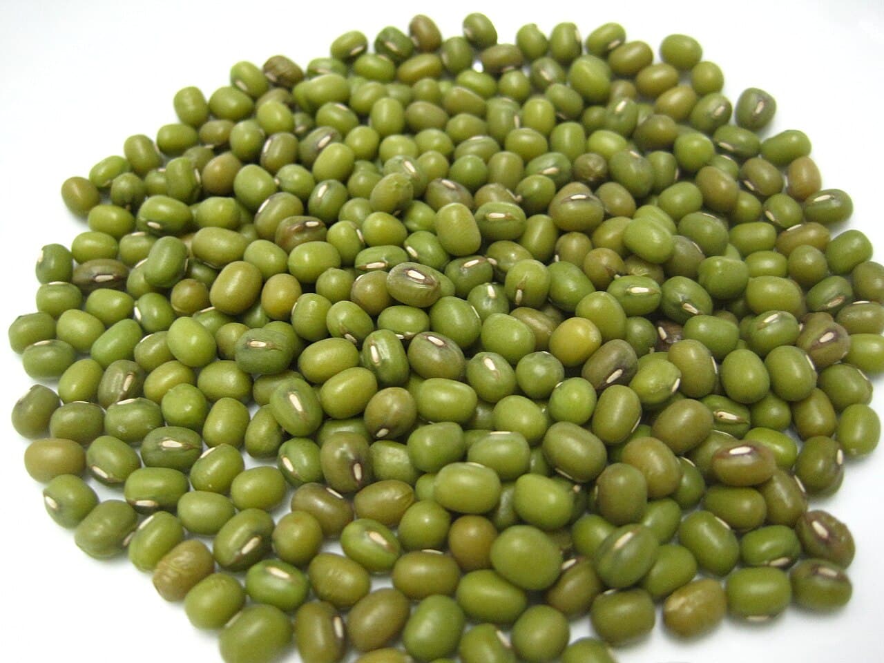 Kacang Hijau