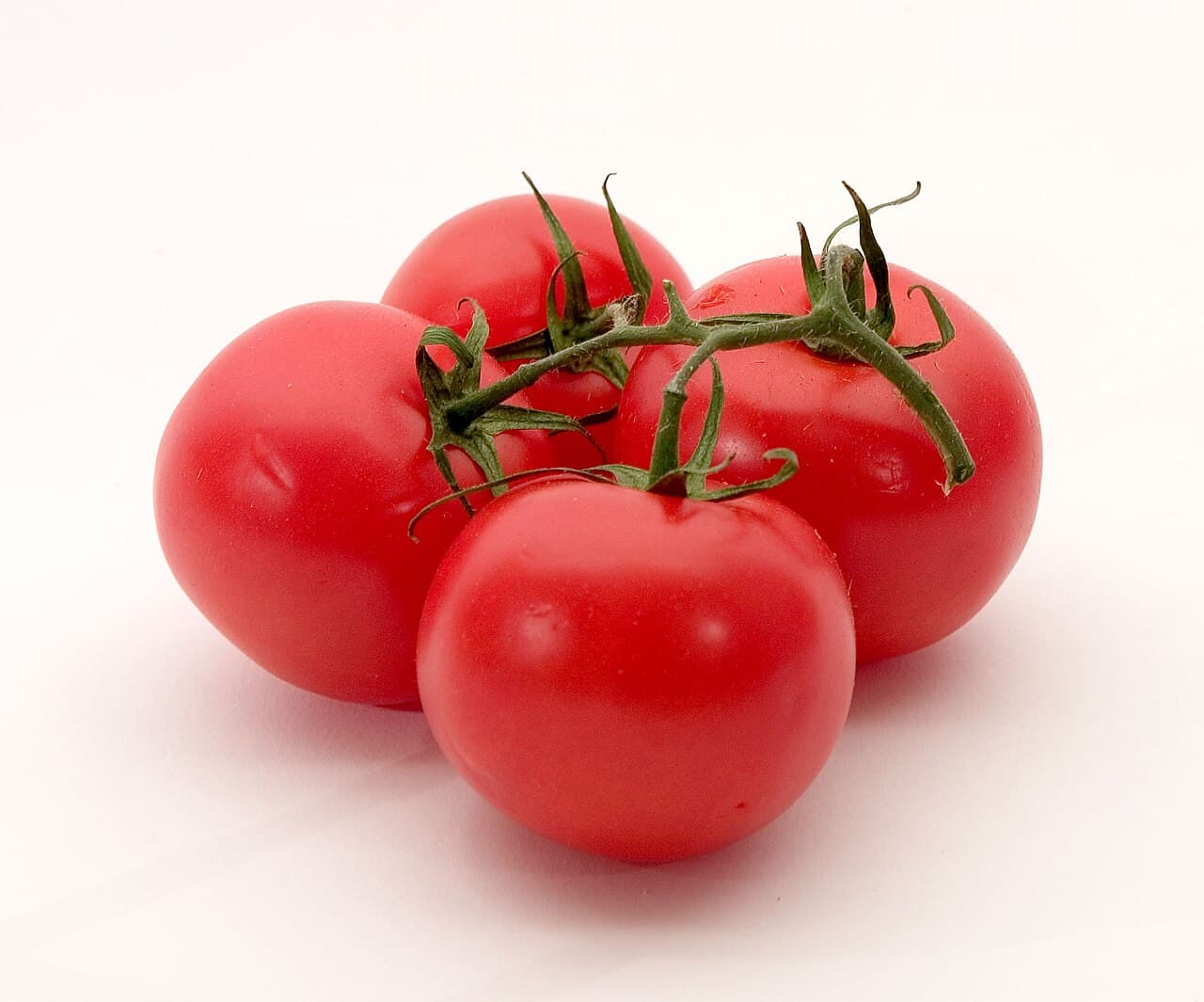 Tomat Merah