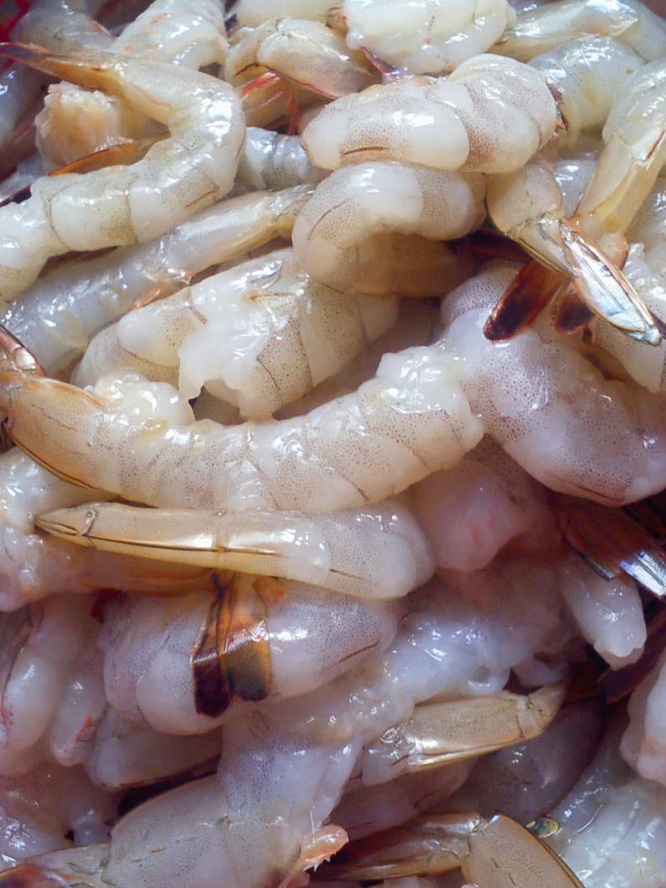 Udang Vaname Segar