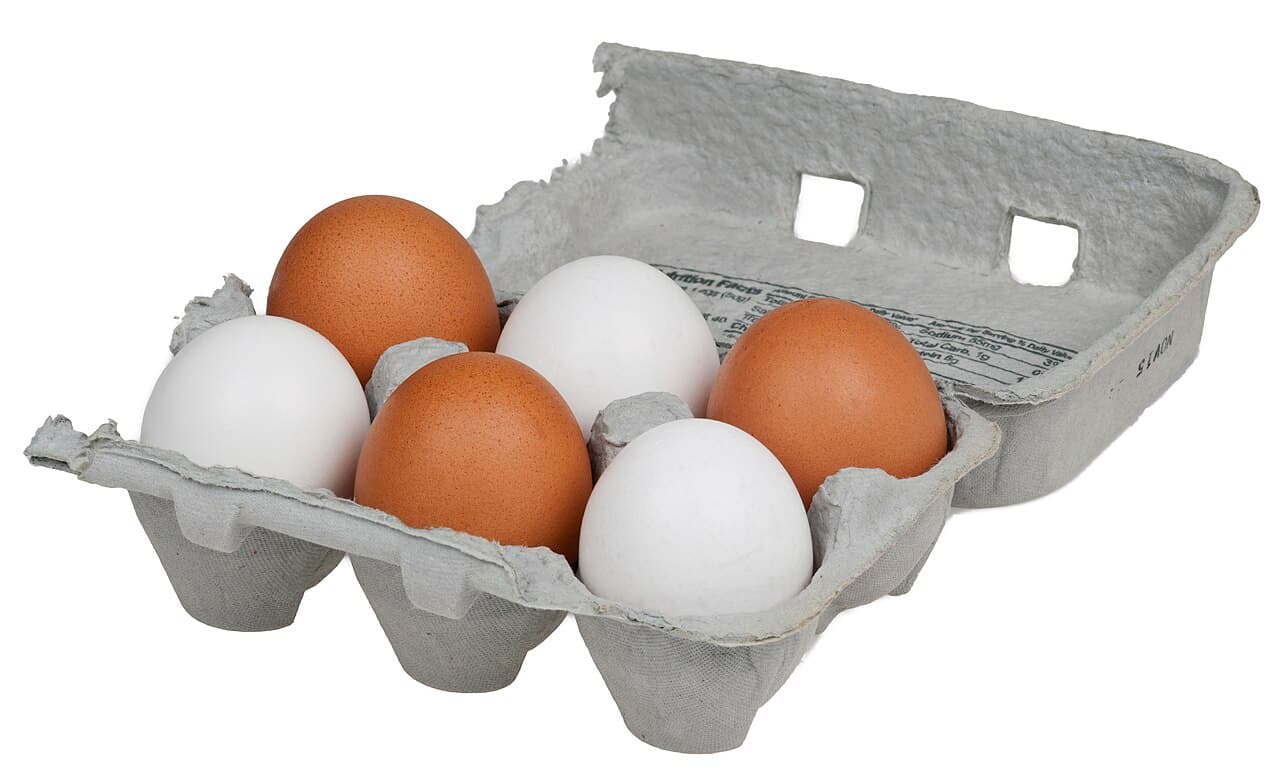 Telur Ayam Negeri